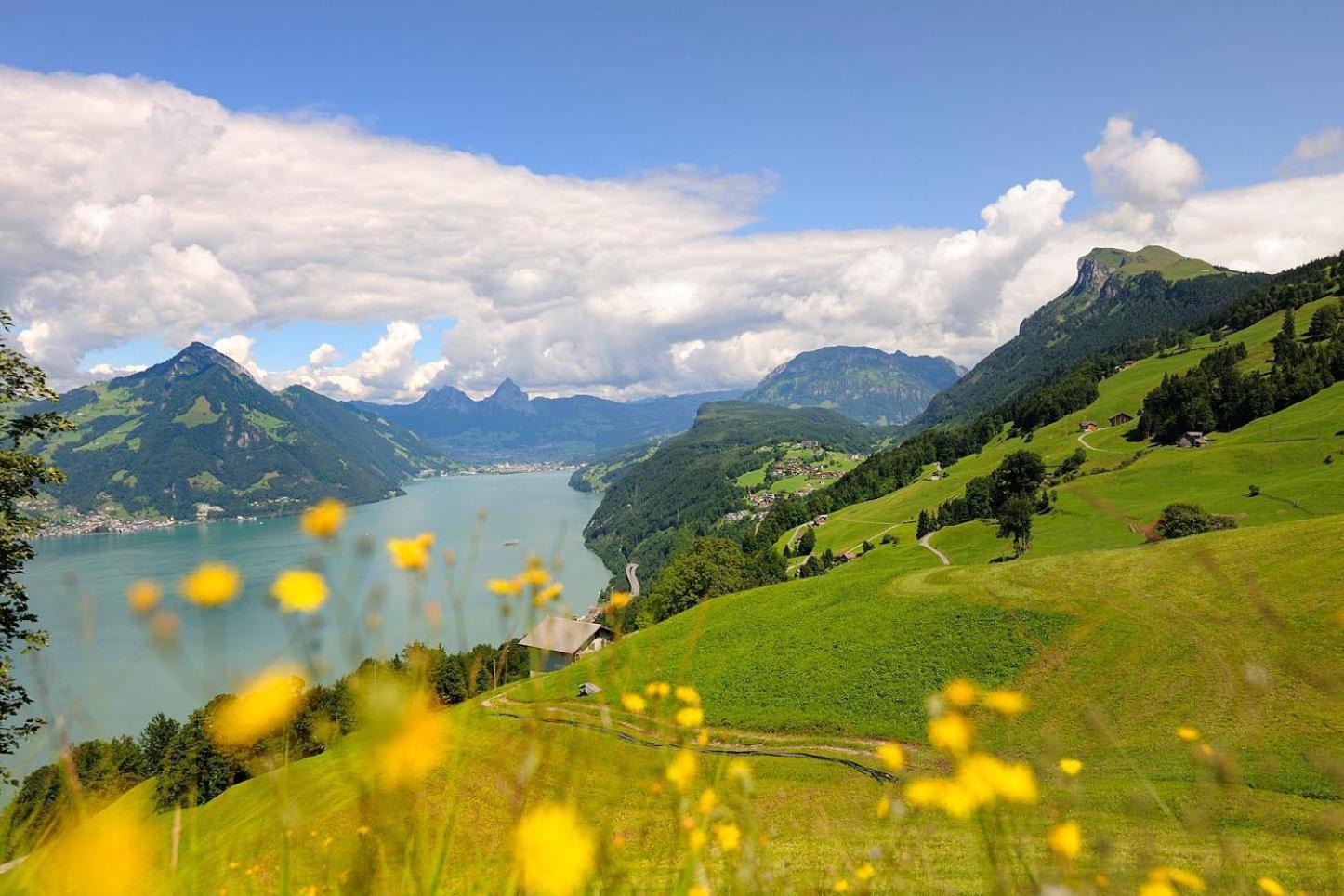 Seeblick Hoehenhotel